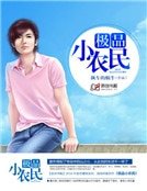 极品小农民