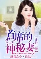 《盛世二婚,总裁的神秘妻》