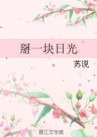 掰一块日光
