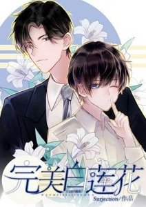 完美白蓮花