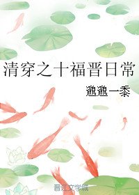 清穿之十福晉日常