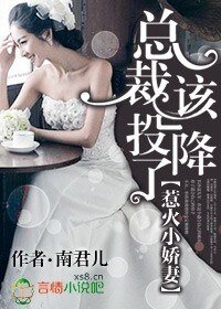 总裁该投降了/惹火小娇妻，总裁该投降了