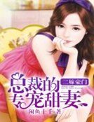 二嫁豪门：总裁的专宠甜妻