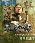 三國袁尚傳