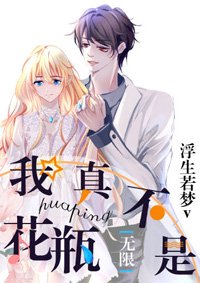 我真不是花瓶[无限]
