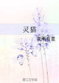 灵猫