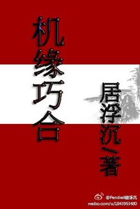 《機緣巧合》