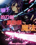 《(刀剑神域同人)桐子的刀剑真的很魔法》