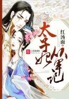 太子妃從軍記