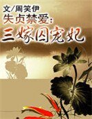 失貞禁愛:三嫁囚寵妃