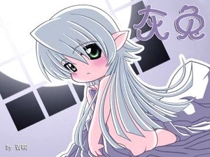 《灰兔》