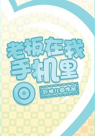 《老板在我手机里》