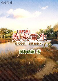 （综韩剧同人）炮灰重生