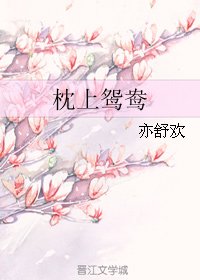 《枕上鸳鸯》
