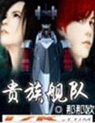 貴族艦隊