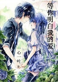 等你明败我的矮