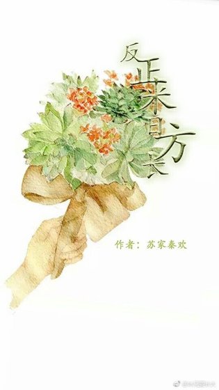 反正来日方长