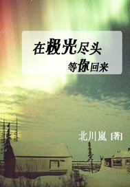 在極光盡頭等你回來