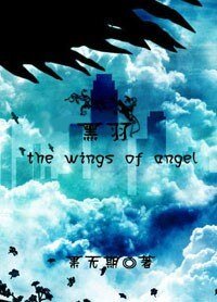 《黑羽(又名:天使之翼)》