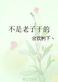 不是老子干的