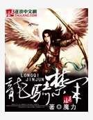 《龙骑禁军》