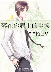 落在你肩上的尘埃