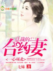 一心項北,總裁的合約妻