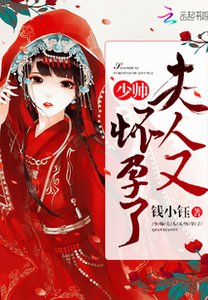 少帥,夫人又懷孕了