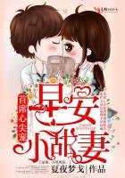 厲少養妻實錄
