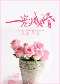 《一宠成婚》