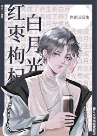 《红枣枸杞白月光》