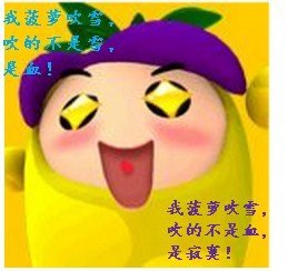 （BL/综武侠同人）菠萝要吹雪！