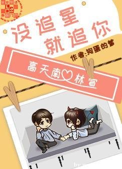 《没追星,就追你》