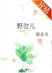 野岔兒