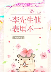 李先生他表里不一