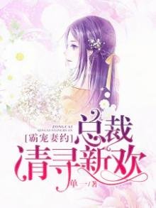 《总裁大人靠边站》