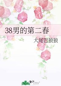 38男的第二春
