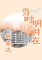 當時明月在