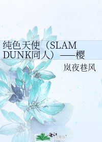 純涩天使(SLAM DUNK同人)——櫻木小雪