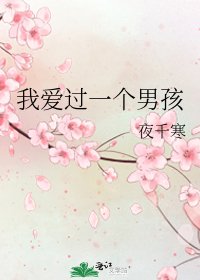 《我爱过一个男孩》