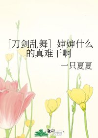 ［刀剑乱舞］婶婶什么的真难干啊