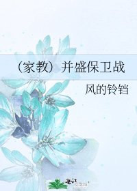 (家教)並盛保衛戰