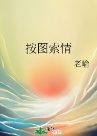 《按图索情》