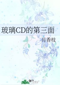 《玻璃CD的第三面》
