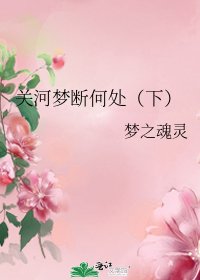 《关河梦断何处(下)》