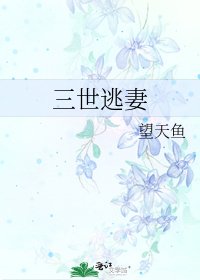 三世逃妻