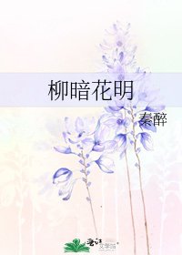 柳暗花明