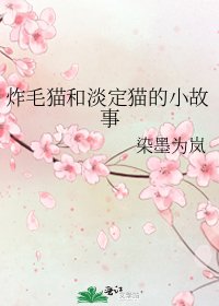 炸毛猫和淡定猫的小故事