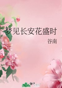 《梦见长安花盛时》