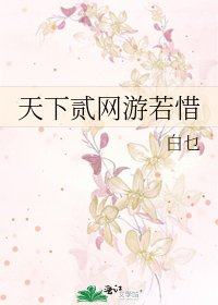 《天下贰网游若惜》